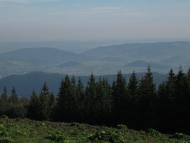 Чорні Ослави - Останні фото