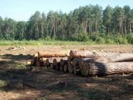 Вишняки з panoramio.com - Вишняки