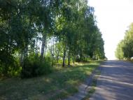 Онопріївка з panoramio.com