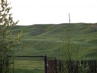 Березівське з panoramio.com