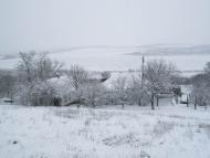 Заградівка з panoramio.com