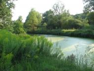 Питомник з panoramio.com