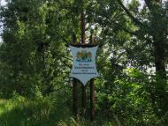 Богданівка - Останні фото