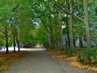 Володимирівське з panoramio.com