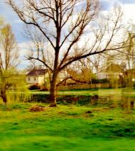 Лук'янівка з panoramio.com