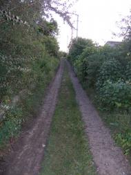 Питомник з panoramio.com