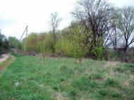 Тарасенки з panoramio.com