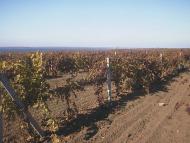 Ленинка - Последние фото