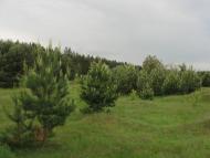 Жерденівка з panoramio.com