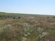 Будячки з panoramio.com