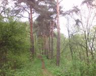 Камінь з panoramio.com