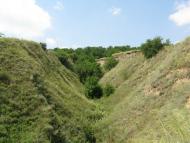 Звонецьке з panoramio.com