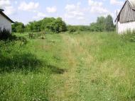 Остроушки з panoramio.com