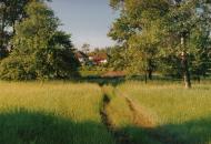 Нижня Мануйлівка з panoramio.com