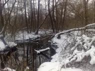 Буринь з panoramio.com