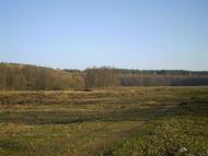 Новий Білоус з panoramio.com