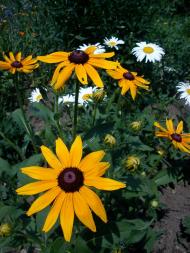 Городище з panoramio.com