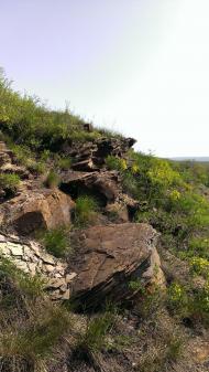 Кам'янка з panoramio.com