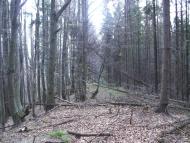 Майдан з panoramio.com