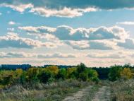 Криничне з panoramio.com