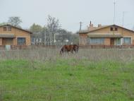 Ярешки з panoramio.com