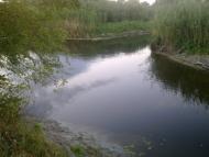 Усть-Лип'янка з panoramio.com