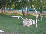 Бирлівка з panoramio.com