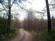 Вишняки з panoramio.com - Вишняки