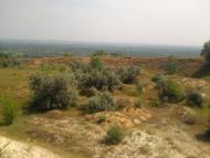 Підгірне з panoramio.com