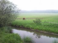 Великі Глібовичі з panoramio.com