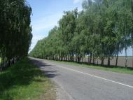 Панфили - Останні фото