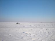 Радсад з panoramio.com