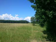 Бабче з panoramio.com