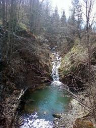 Ластівка з panoramio.com