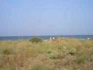 Костиріне з panoramio.com