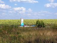 Ордівка - Останні фото