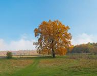 Хмелева з panoramio.com