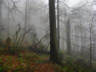 Карпатське з panoramio.com