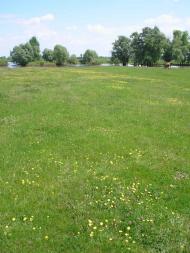 Велике Устя з panoramio.com