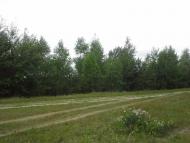 Вирка з panoramio.com