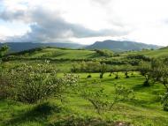 Сонячносілля з panoramio.com