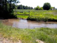 Кунин з panoramio.com