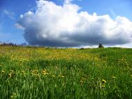 Клинове з panoramio.com