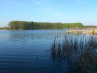 Роїще з panoramio.com