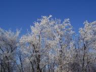 Олександропілля з panoramio.com