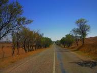 Табачне з panoramio.com