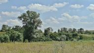 Вільхівка з panoramio.com - Вільхівка