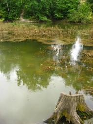 Пилипи з panoramio.com