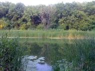 Геївка з panoramio.com