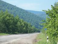 Ангелівка - Останні фото